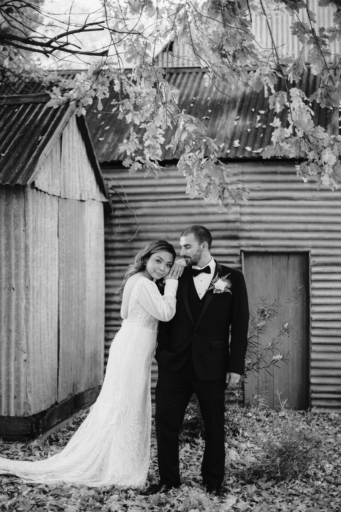 Brown Brothers Winery-2079622