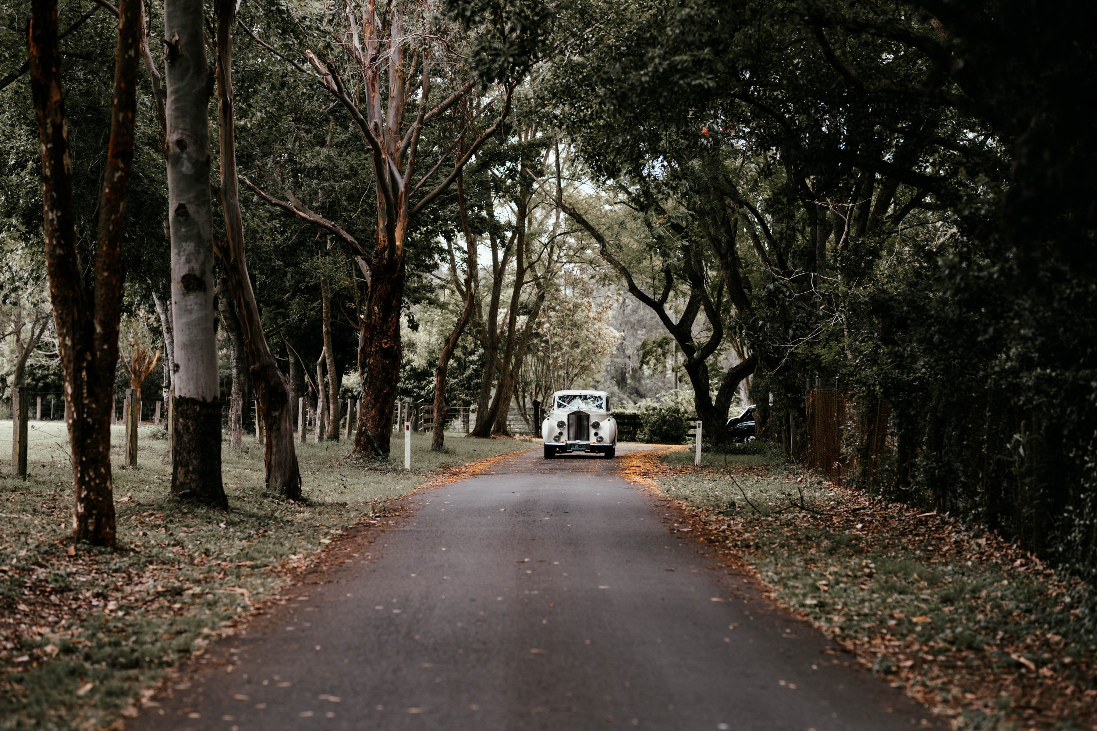 Bundaleer Rainforest Gardens-2319567