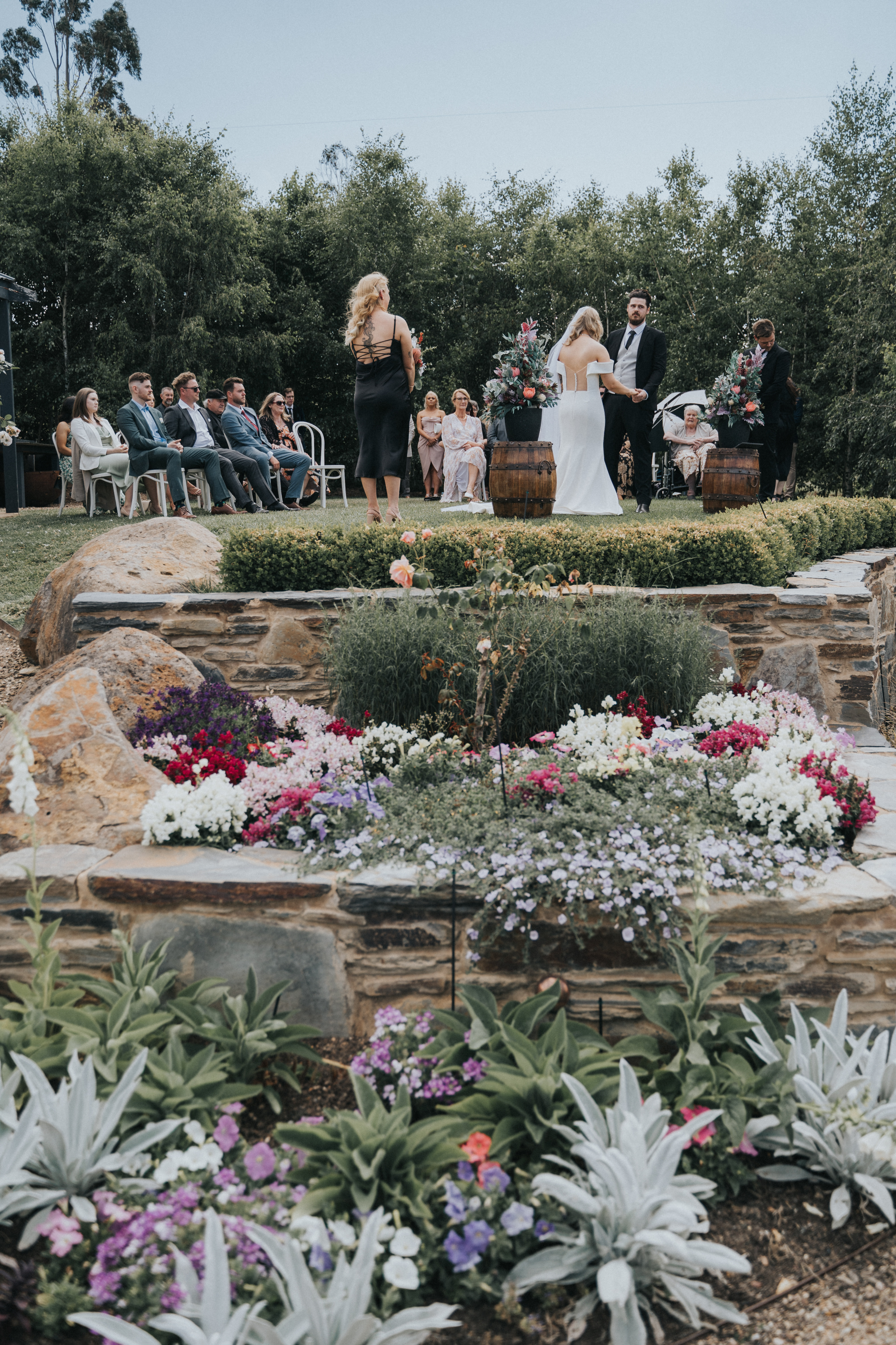 Butlers Lane Vineyard-2125119