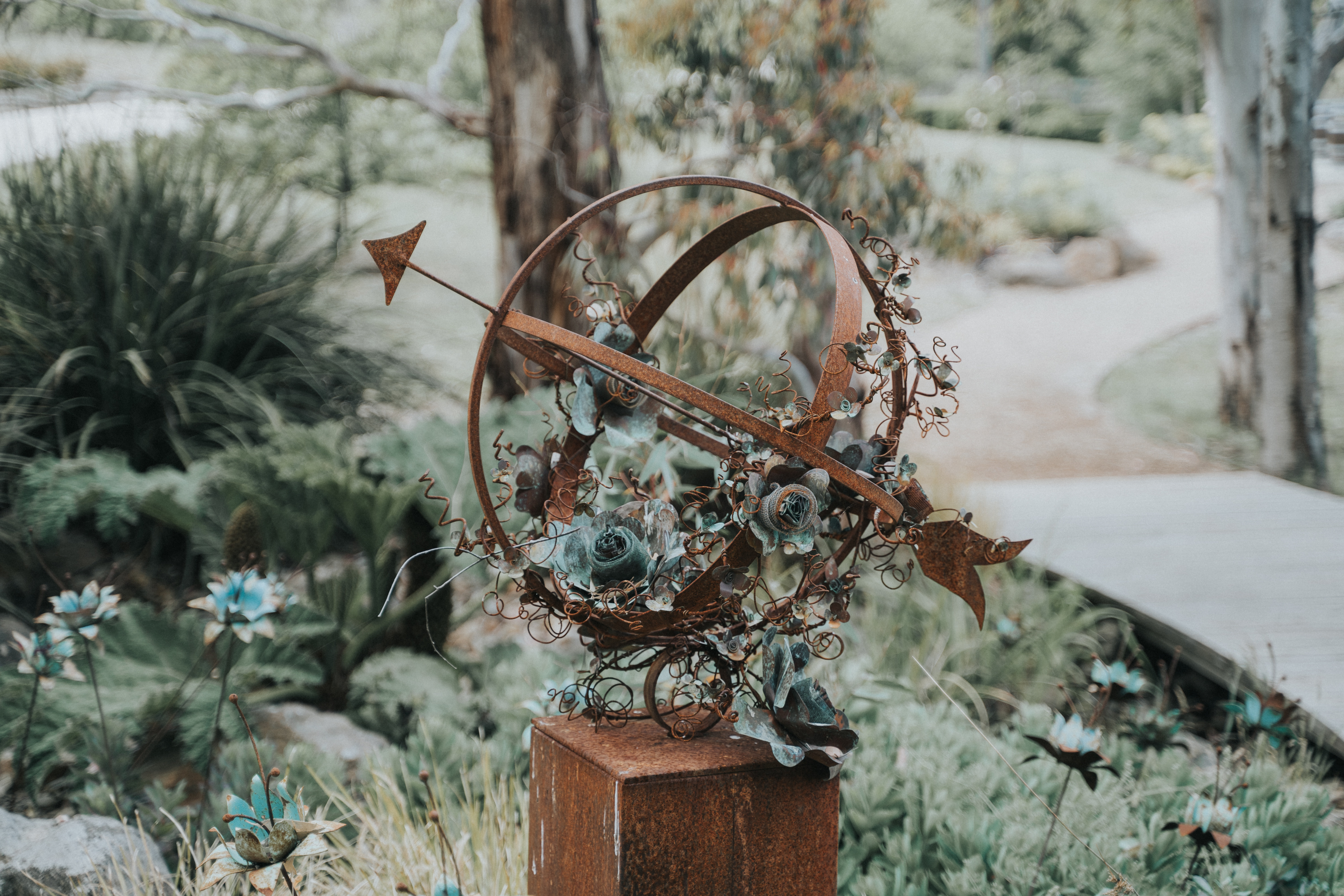 Butlers Lane Vineyard-2125117