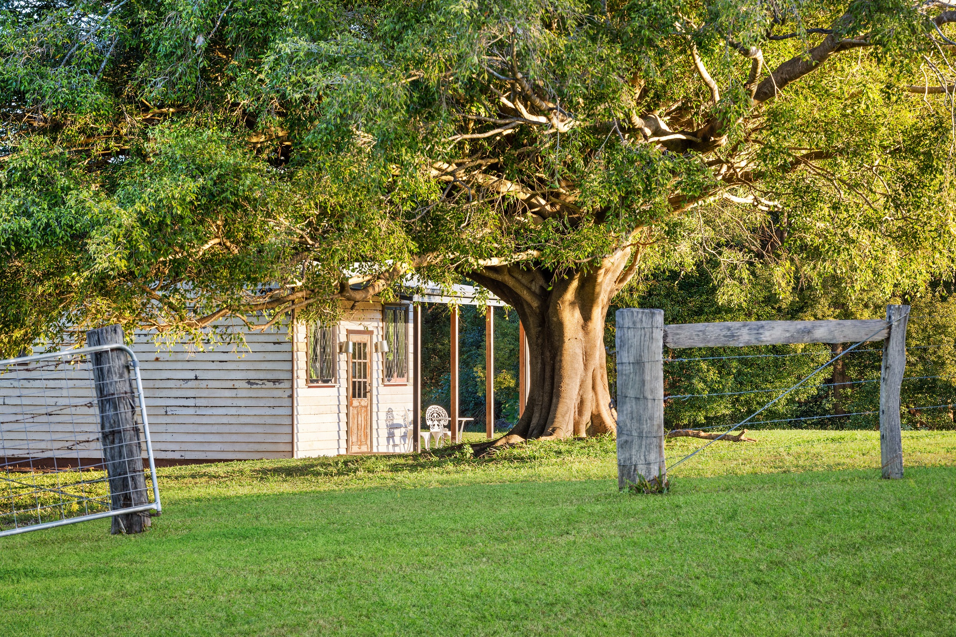 Byron Bay Magical Tooraloo Farm Stay!-2184074