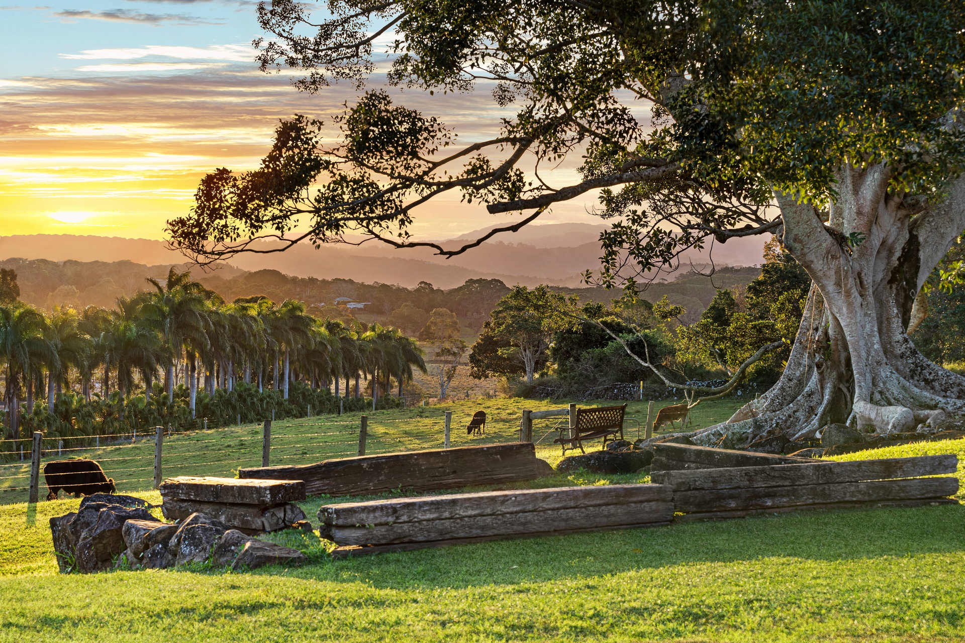 Byron Bay Magical Tooraloo Farm Stay!-2184069