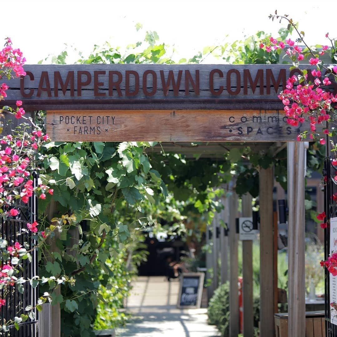 Camperdown Commons-2145319