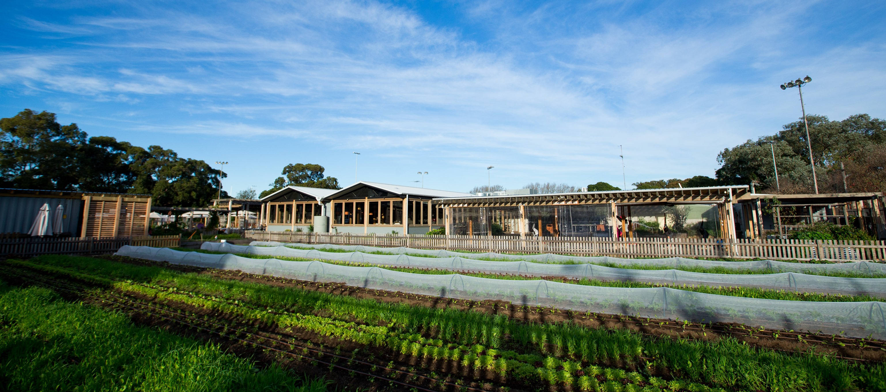 Camperdown Commons-2145318