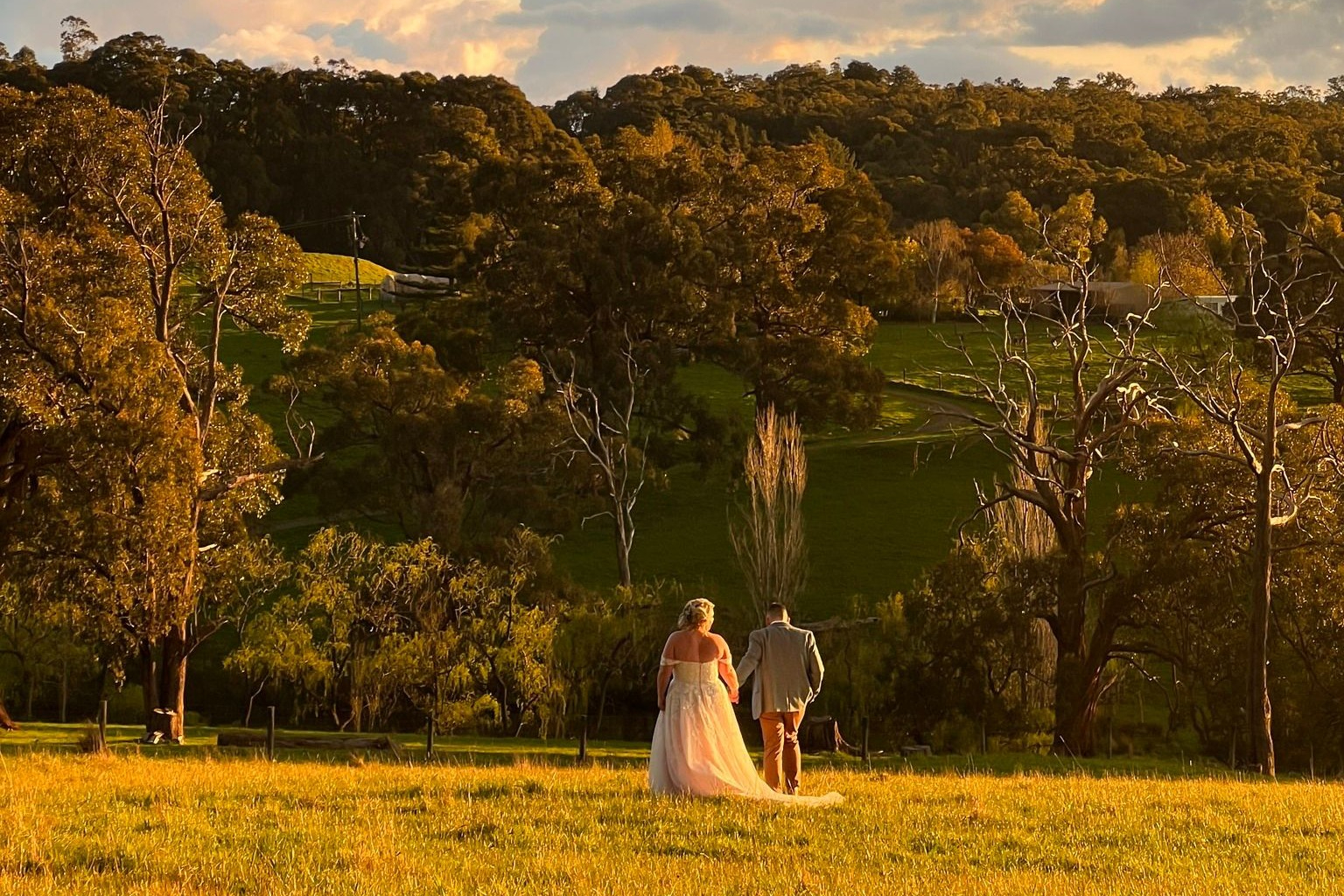 Carlei Estate-2248981