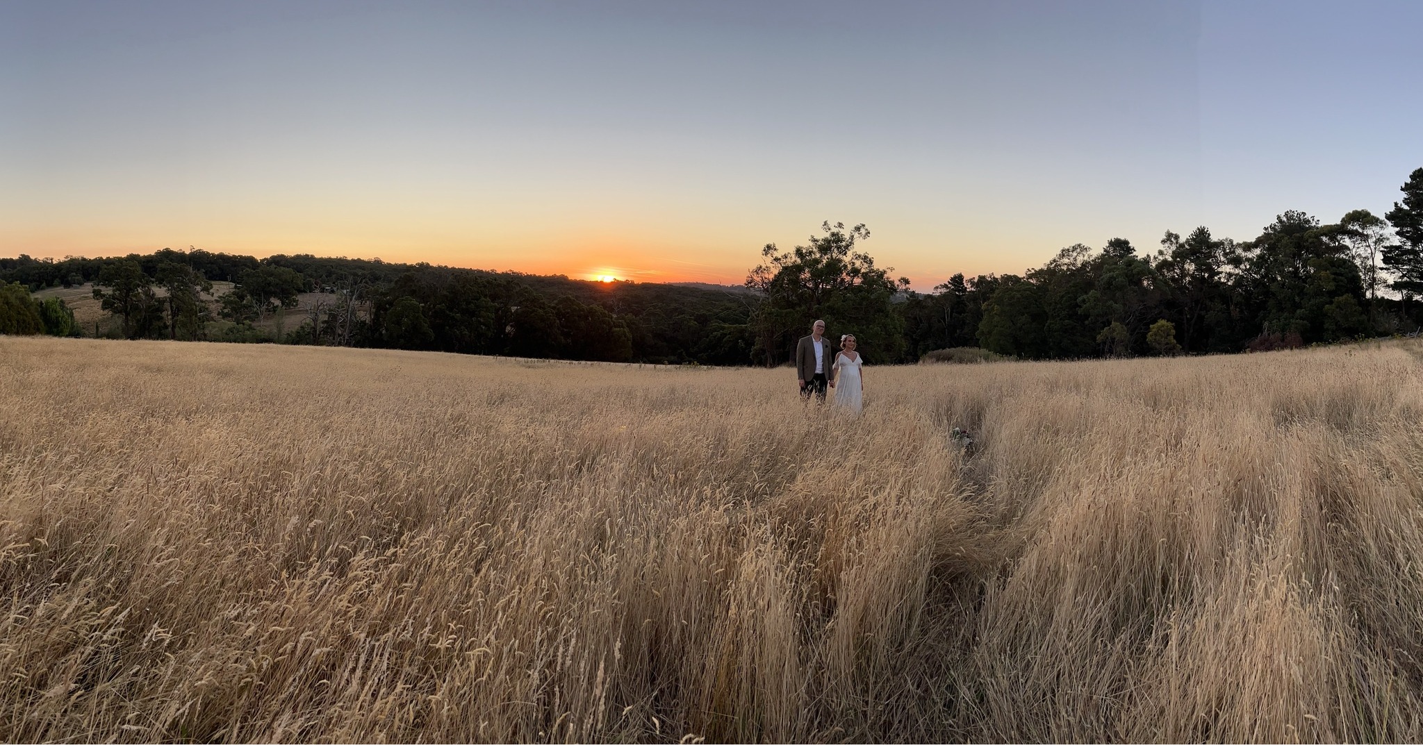 Carlei Estate-2248982