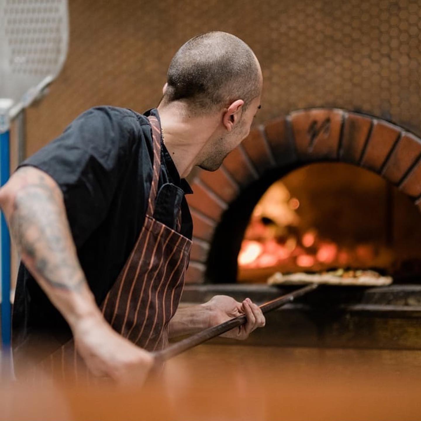 Cavallino Ristorante-2116384