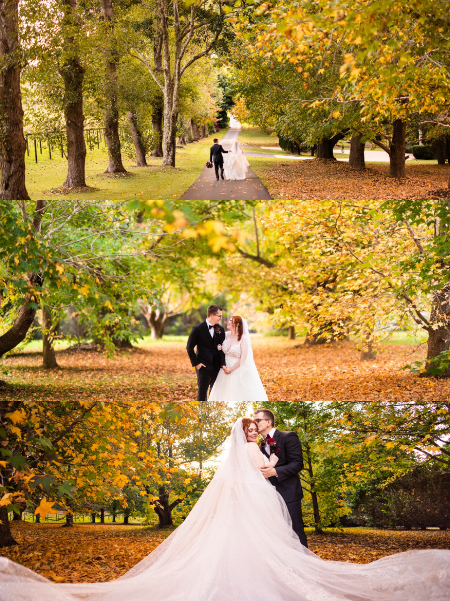 Cedar Creek Estate Winery-2317280