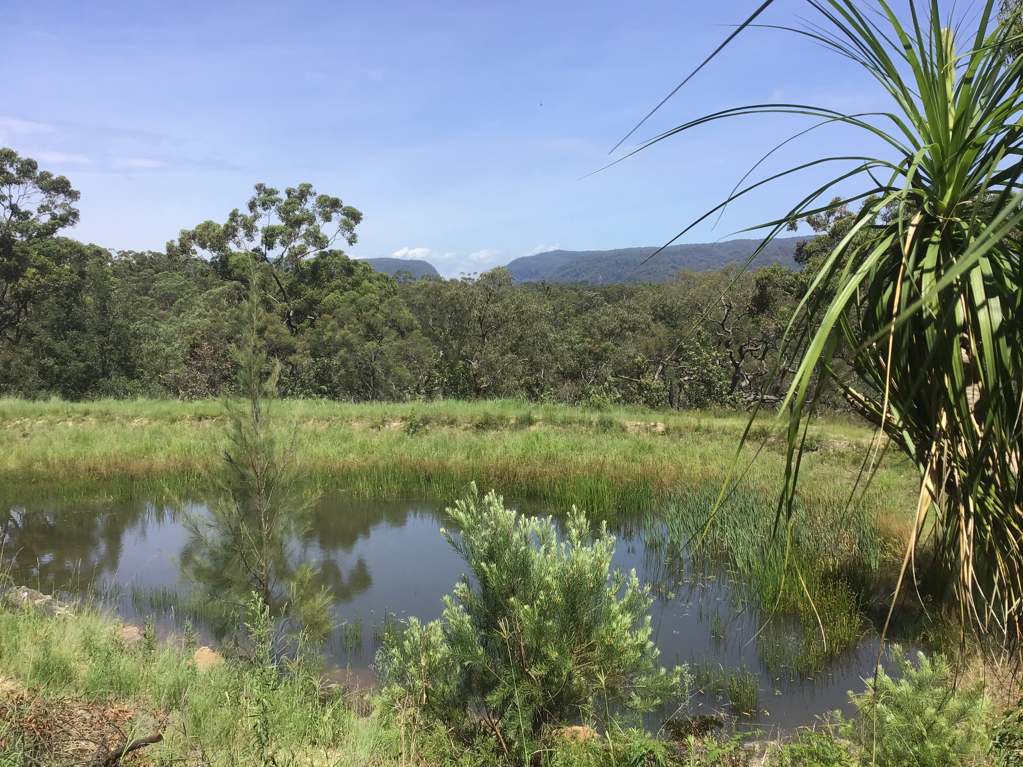 Cedar Ridge Weddings Wedding Venue in Kurrajong