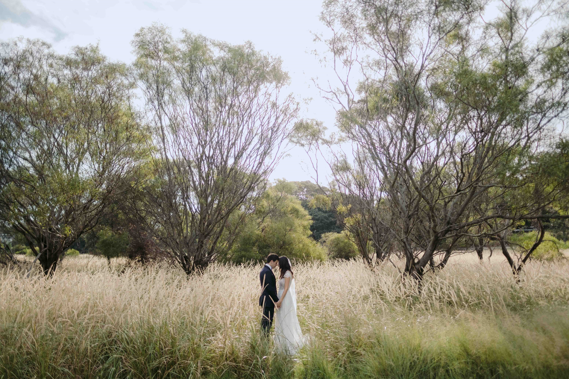 Centennial Parklands-2268361