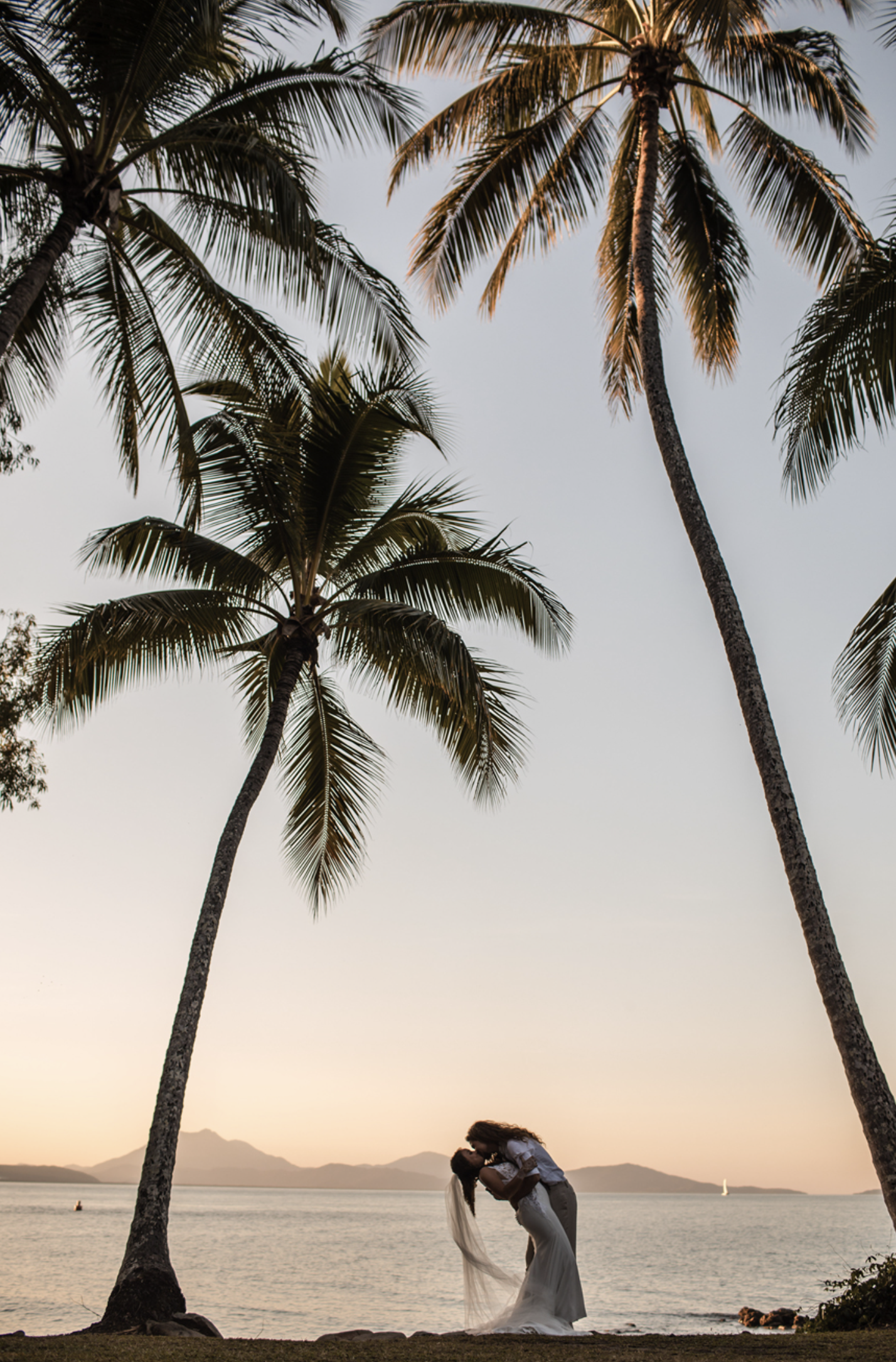 C'est Bon Cairns-2343587