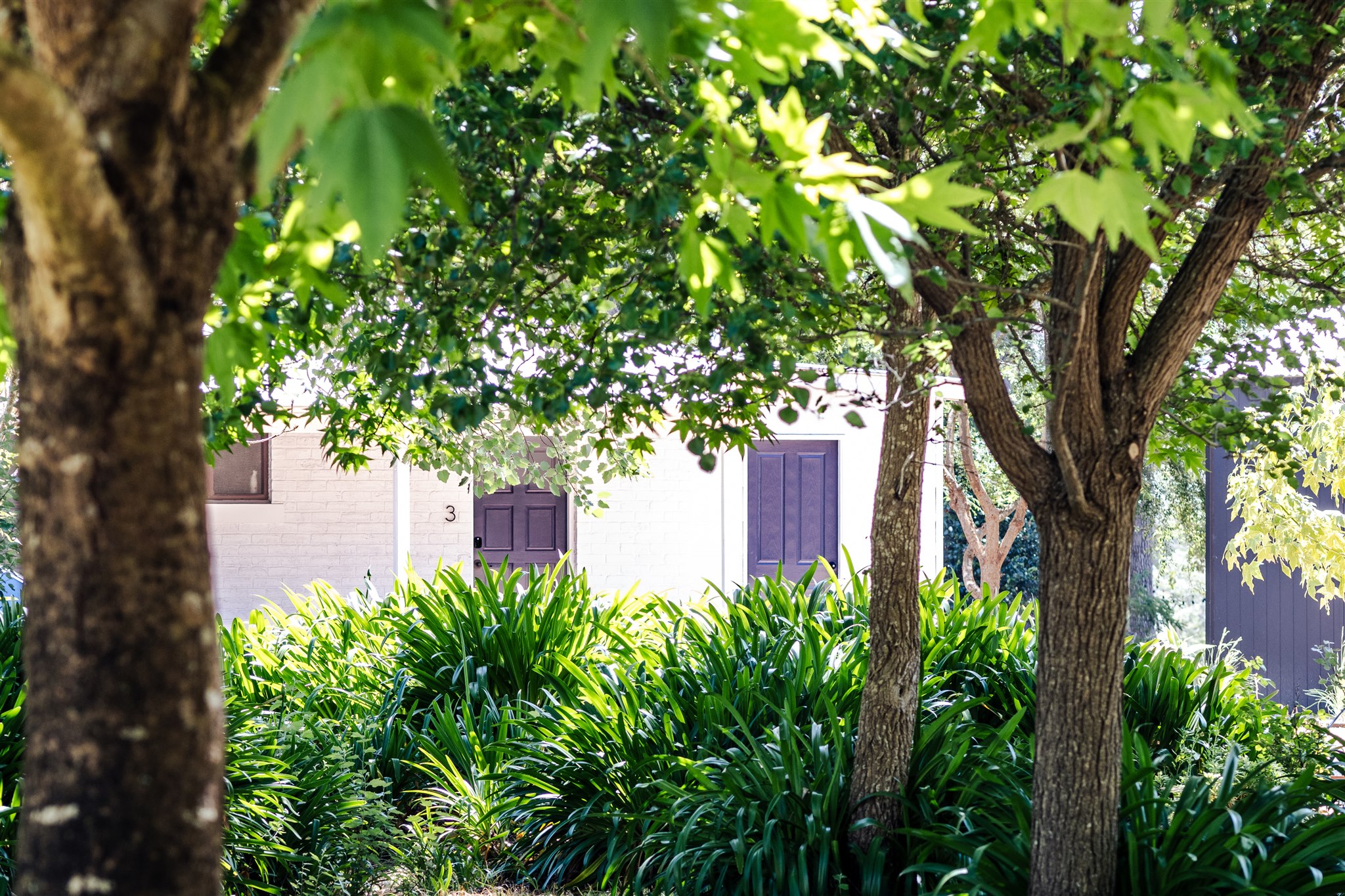 Chambré Estate-2322738