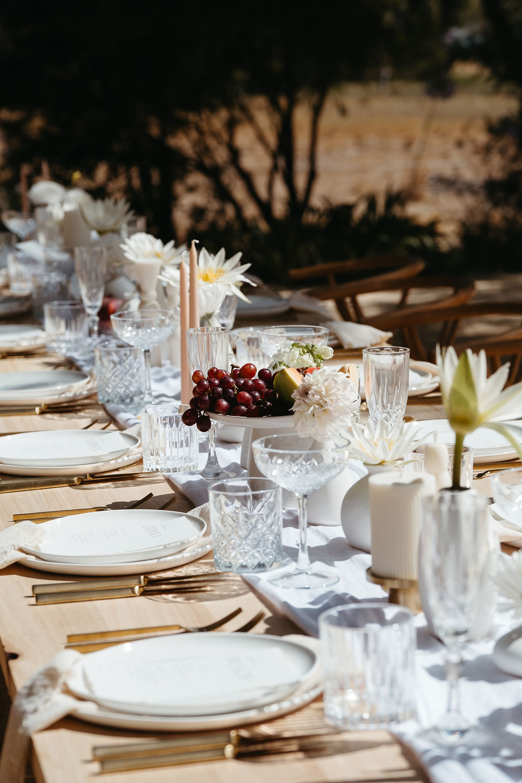 Chambré Estate-2328854