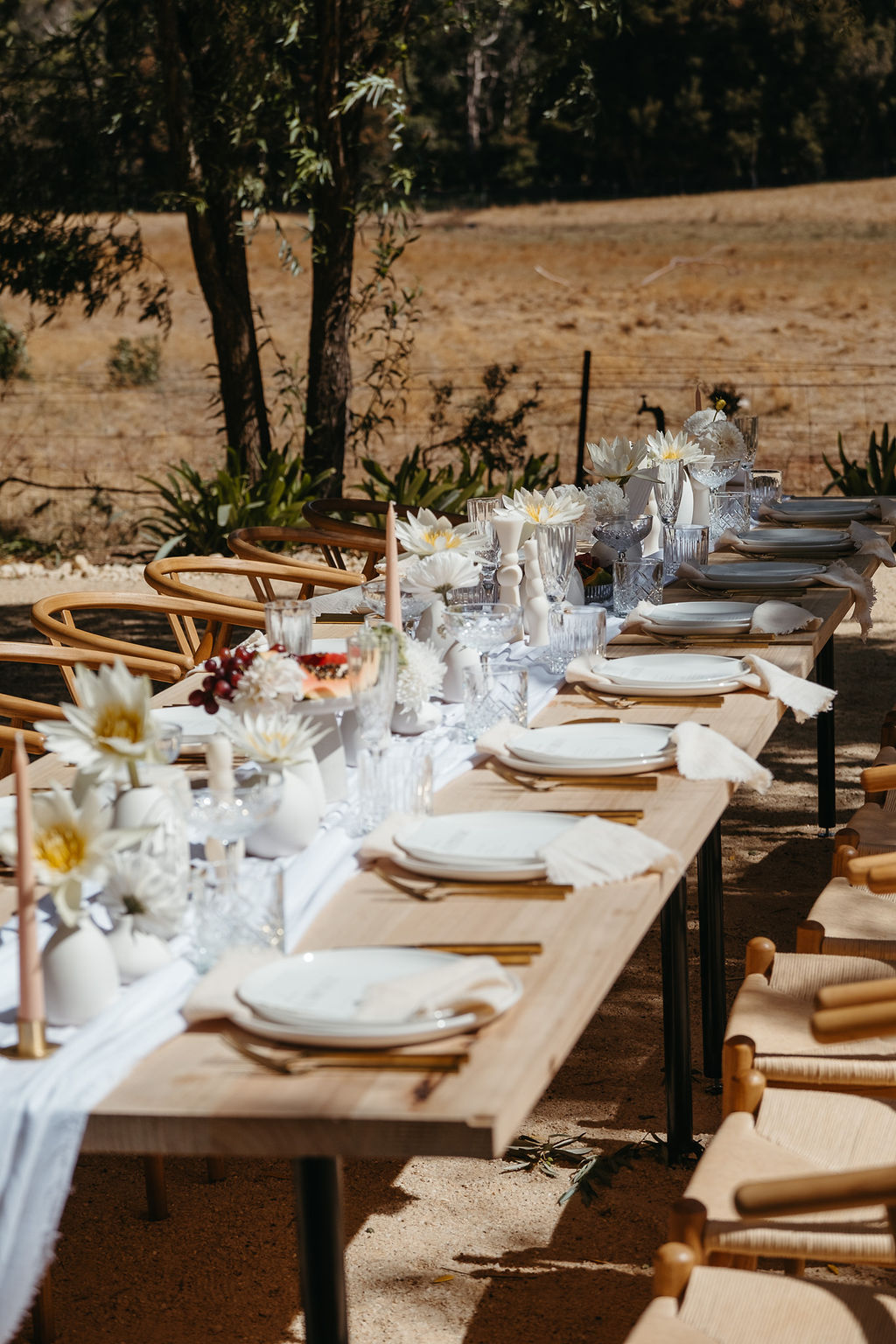 Chambré Estate-2328856