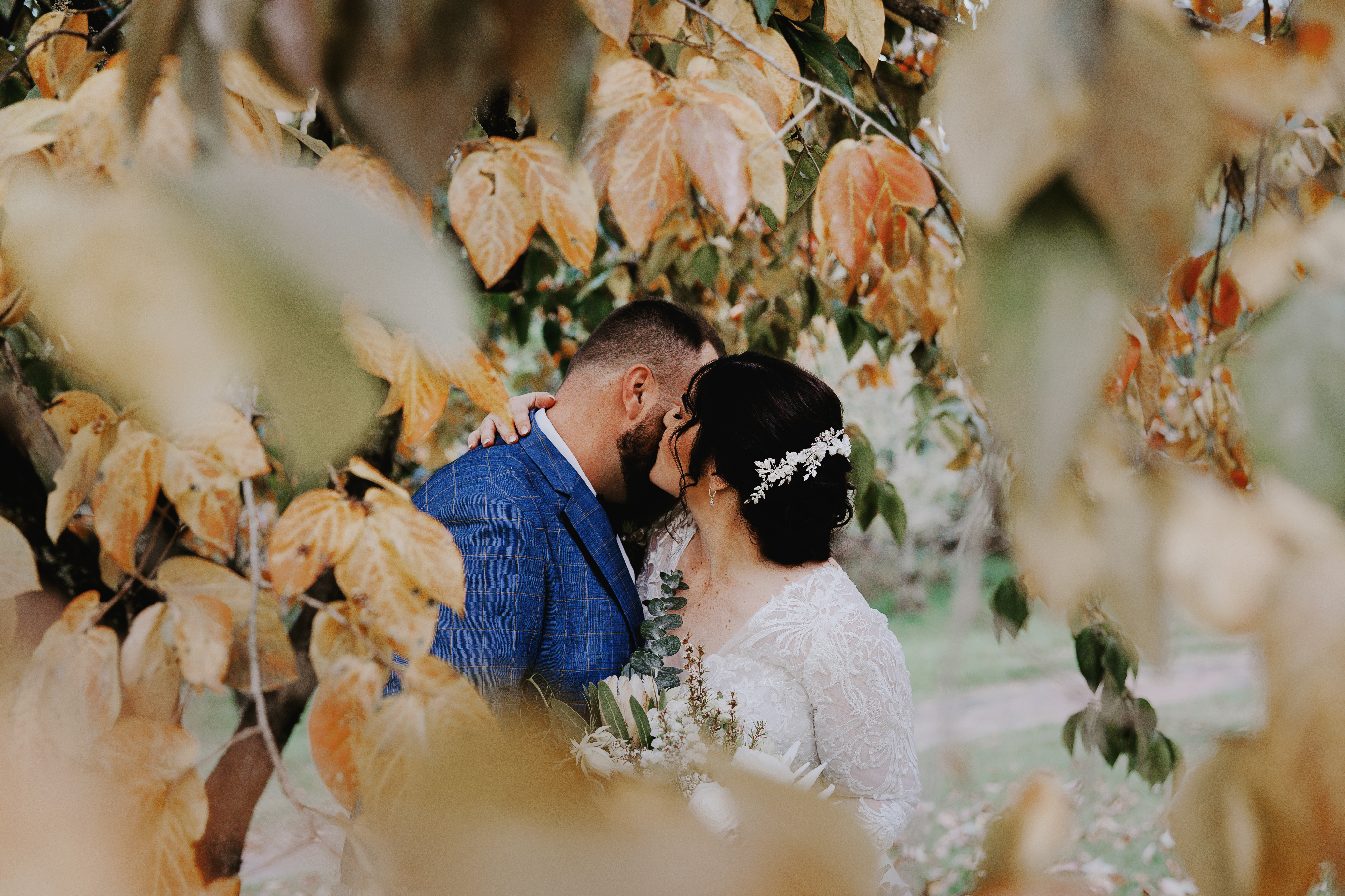 Chapel Hill Retreat-2242761