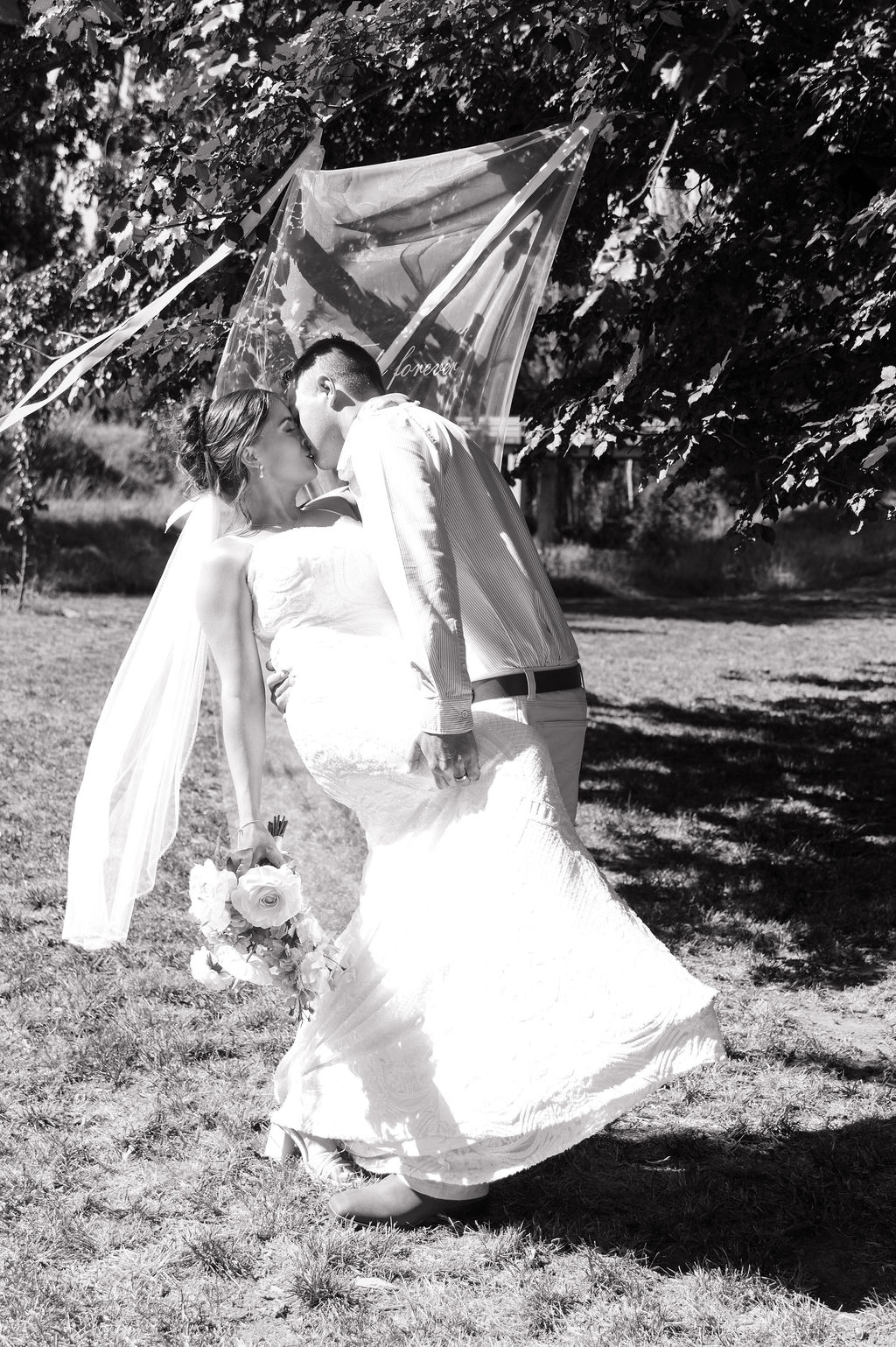 Clifton Woolshed-2500712