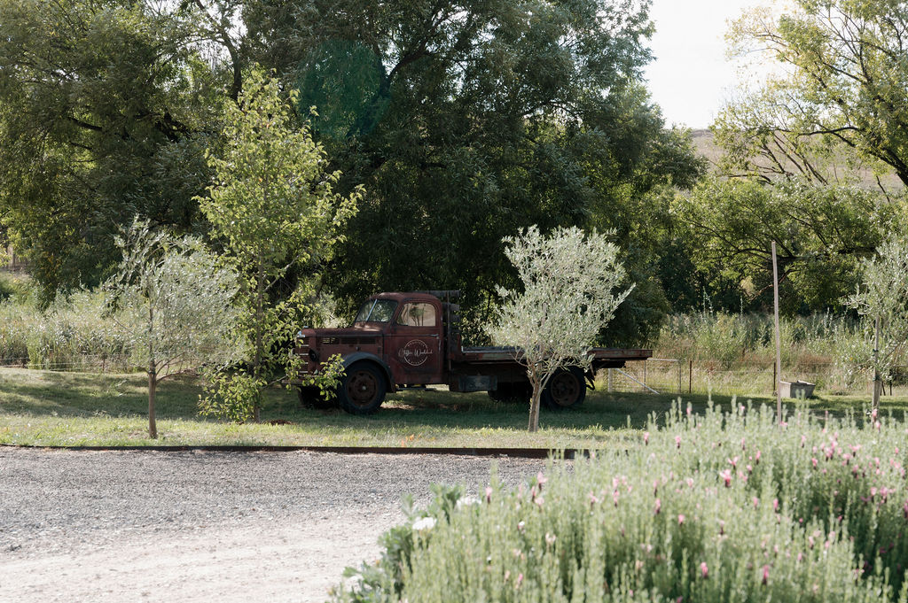 Clifton Woolshed-2500714