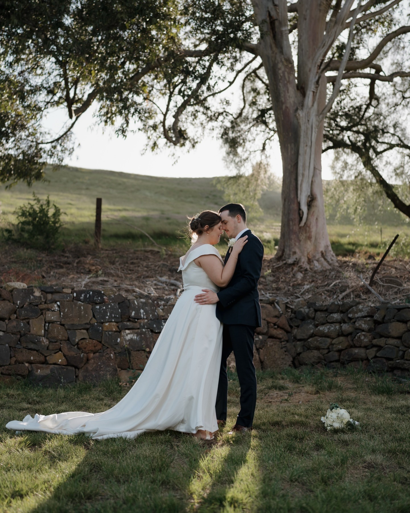 Clyde Park Vineyard-2518189