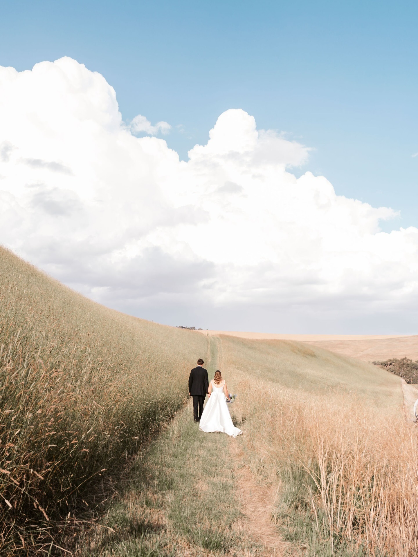 Clyde Park Vineyard-2518195