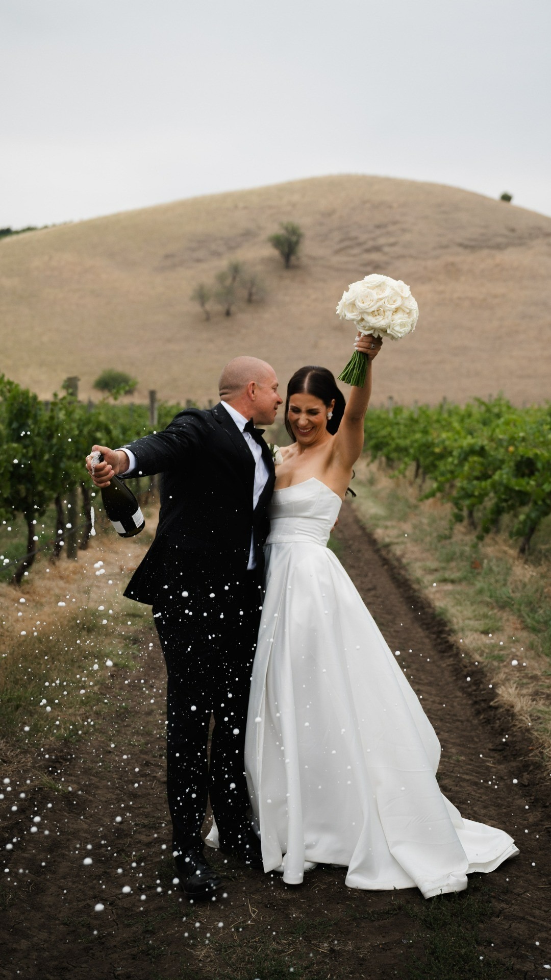 Clyde Park Vineyard-2518197