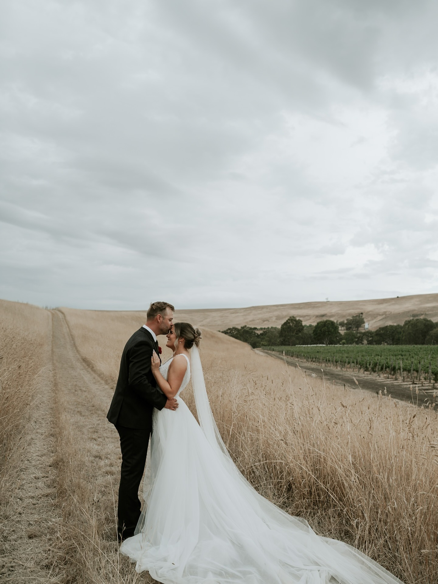 Clyde Park Vineyard-2518192