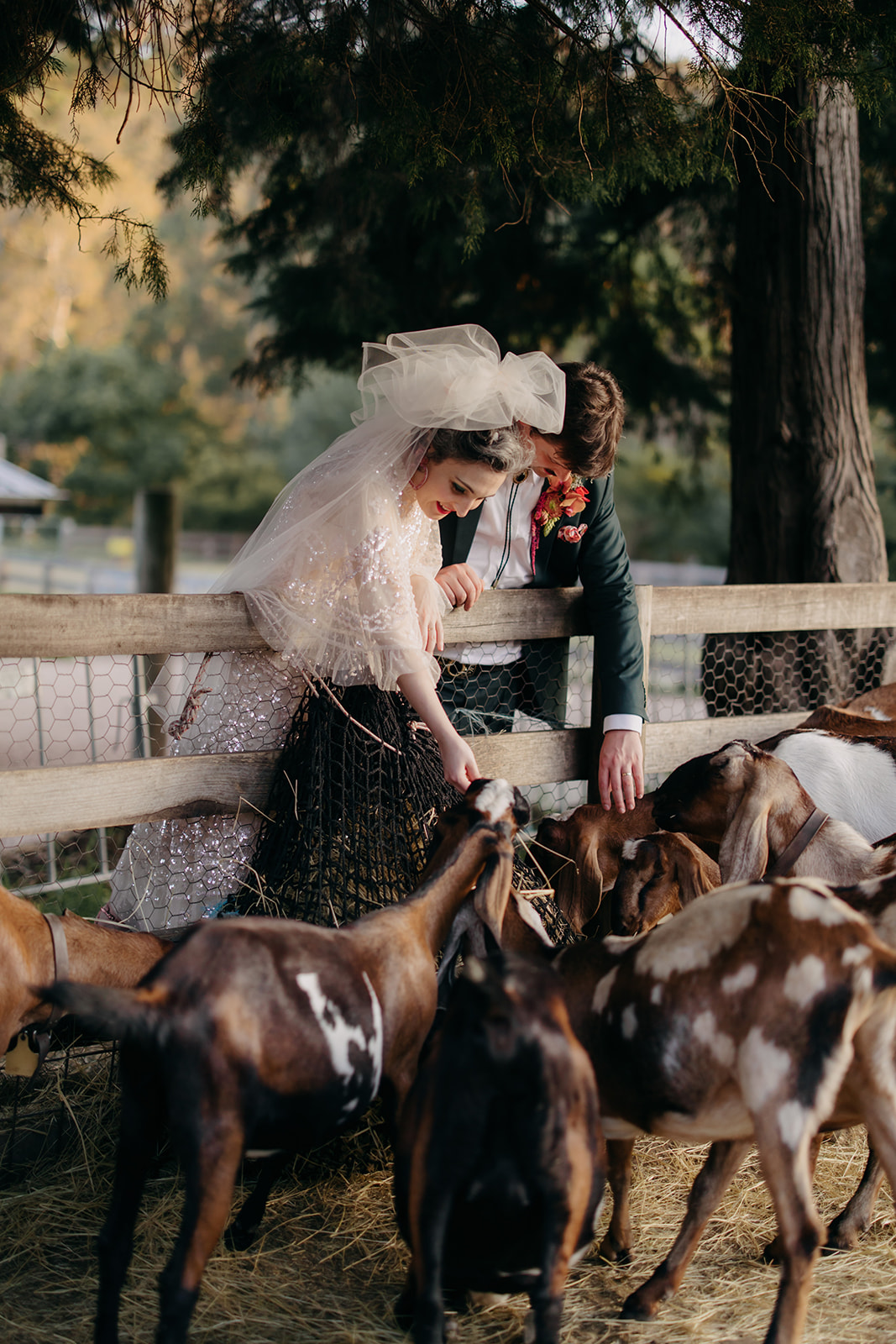 Collingwood Childrens' Farm-2270355