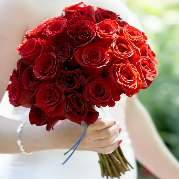 Trios Sports Club-656999