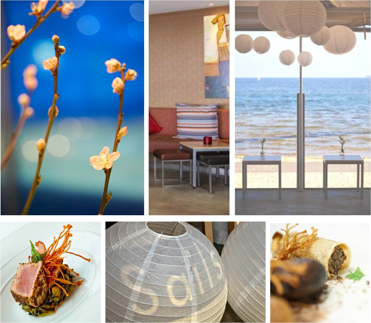 Sails on the bay-243489