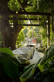 Harrisons Restaurant-81805