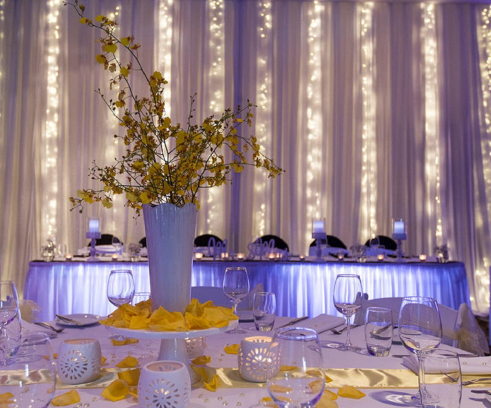 Blue Owl Cafe and Restaurant-497902