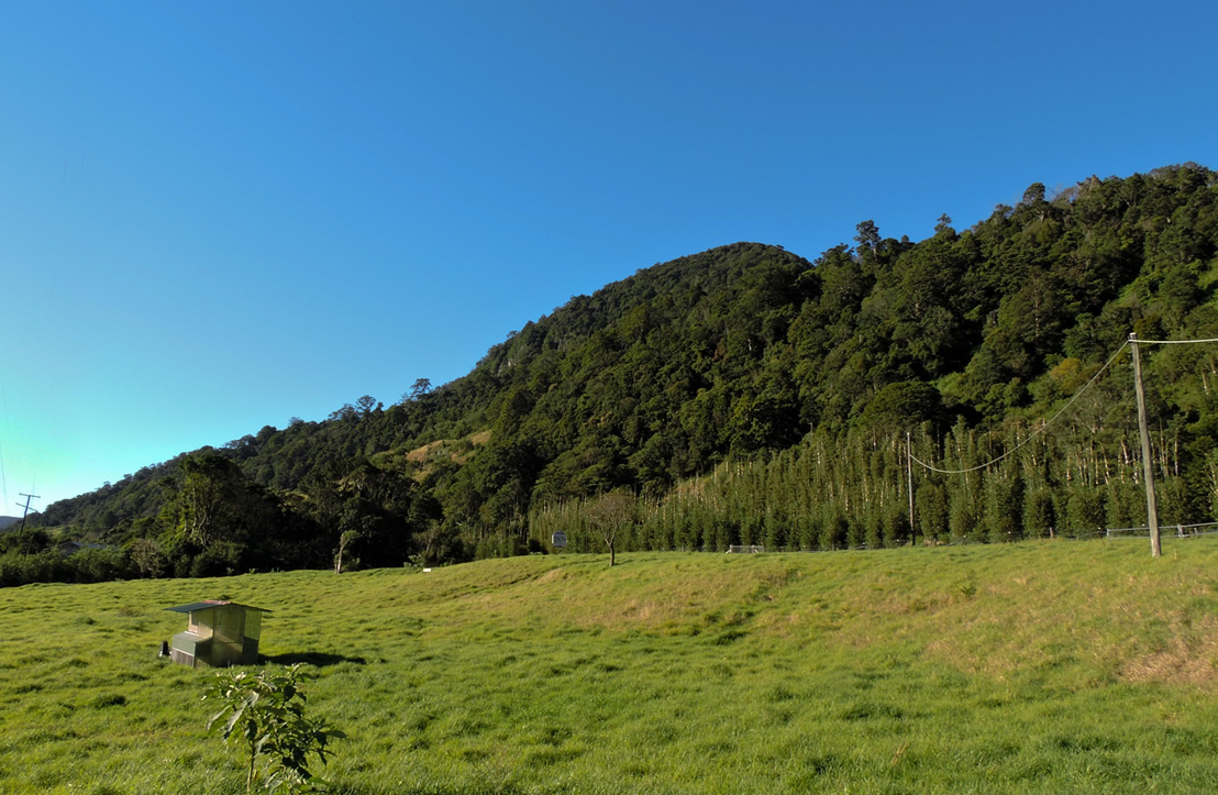 Natural Weddings at Natural Bridge-758280