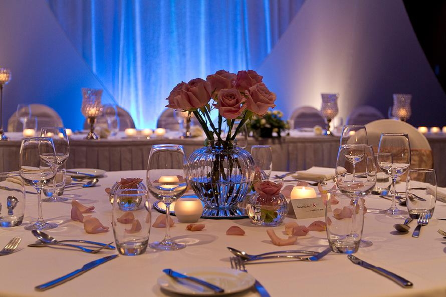 Blue Owl Cafe and Restaurant-497908