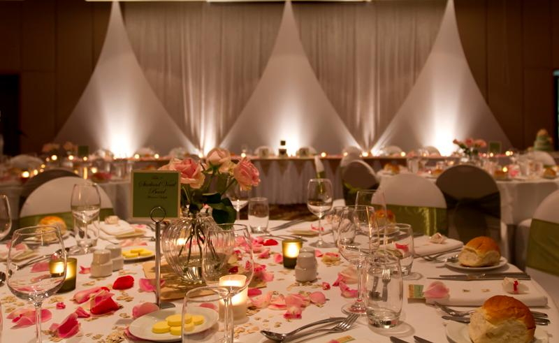 Blue Owl Cafe and Restaurant-497920