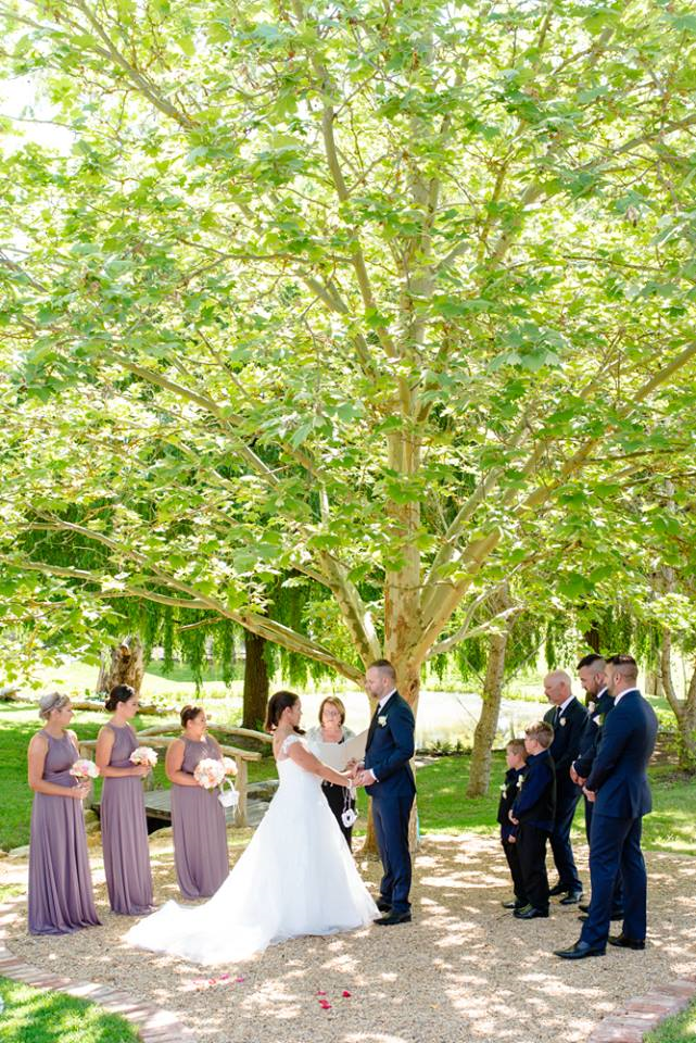 Stevens Estate Garden-677600