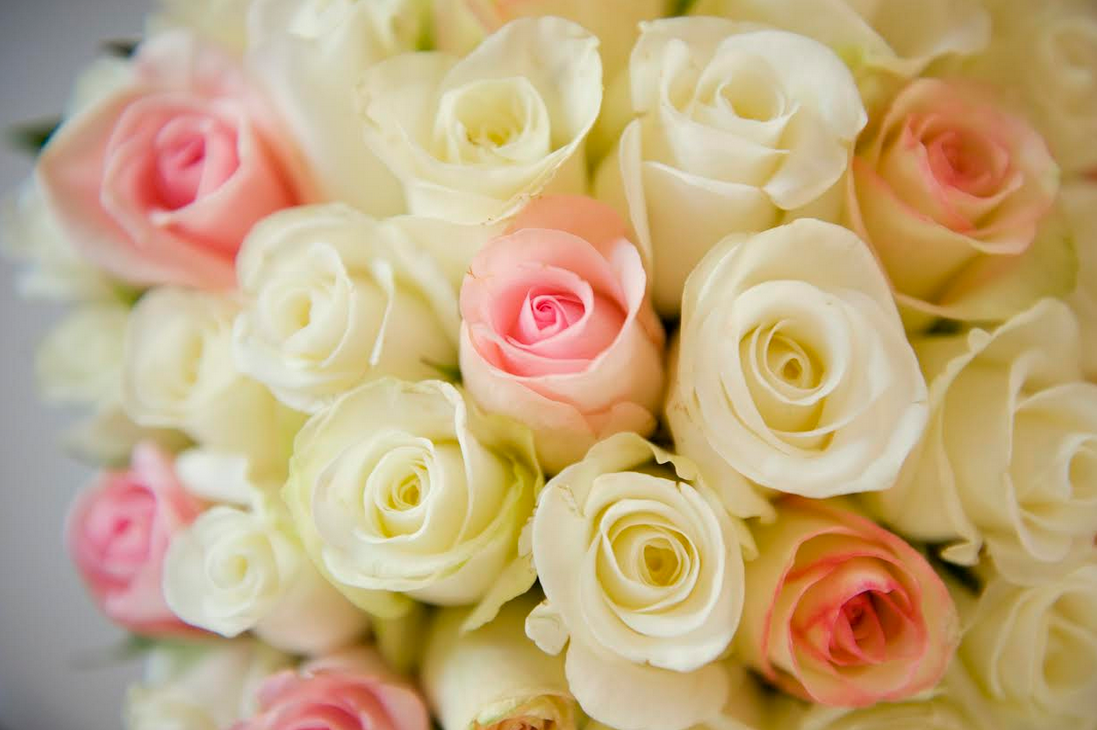 Royal Perth Golf Club-316073