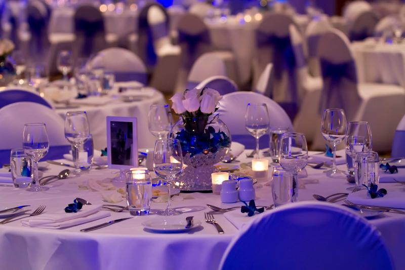 Blue Owl Cafe and Restaurant-497926