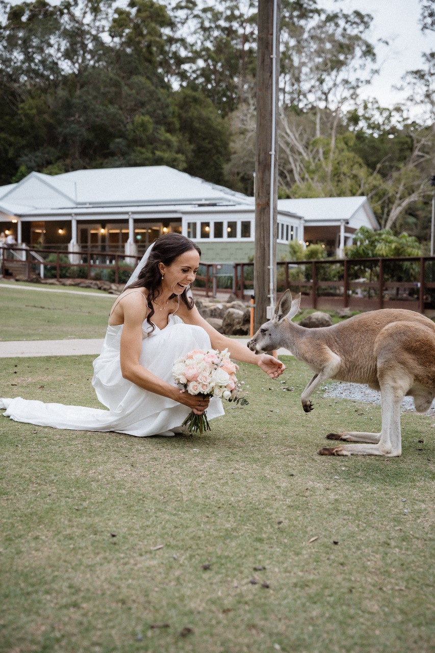 Currumbin Wildlife Sanctuary-2509852