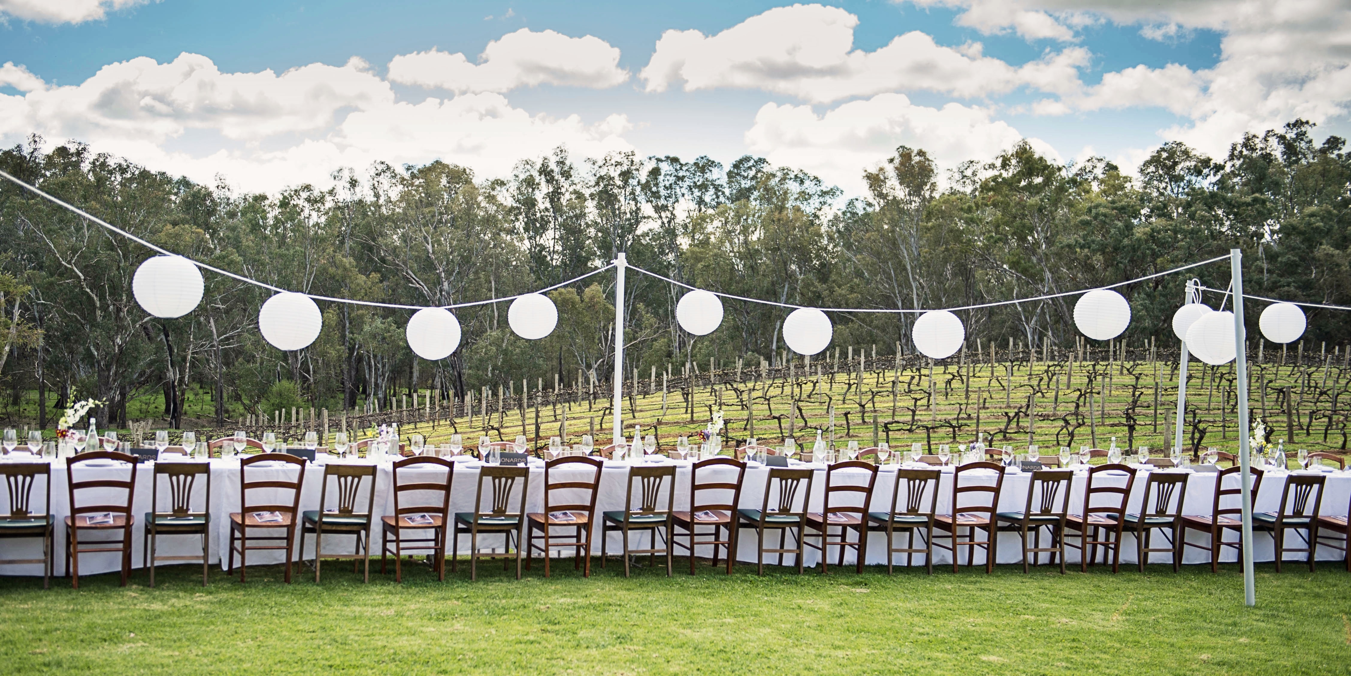 St Leonards Vineyard-1153792