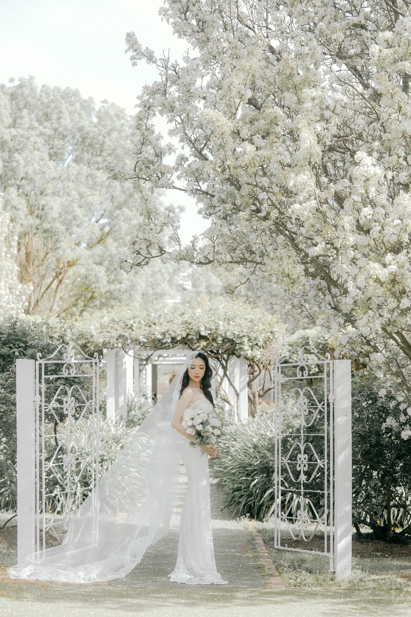 Dalywaters Rose Garden & Chapel-2477445