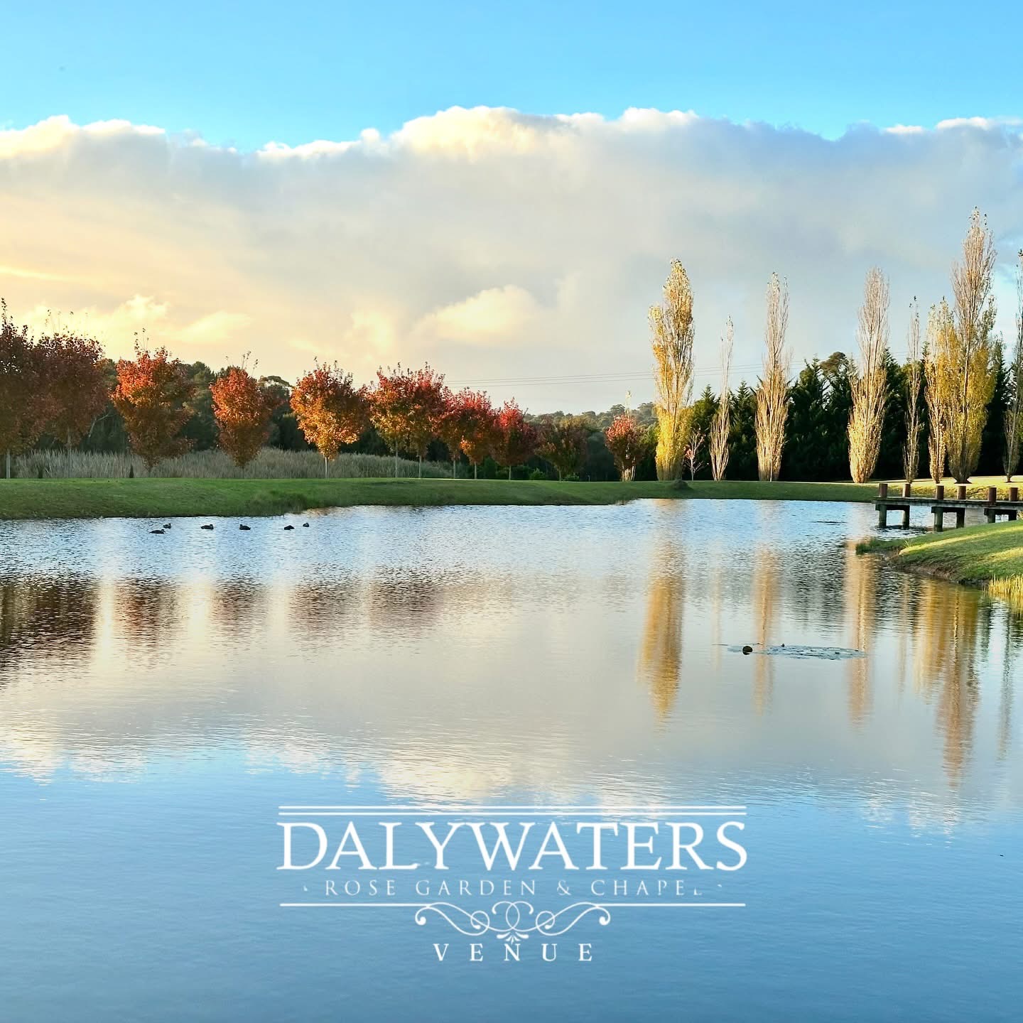 Dalywaters Rose Garden & Chapel-2477449