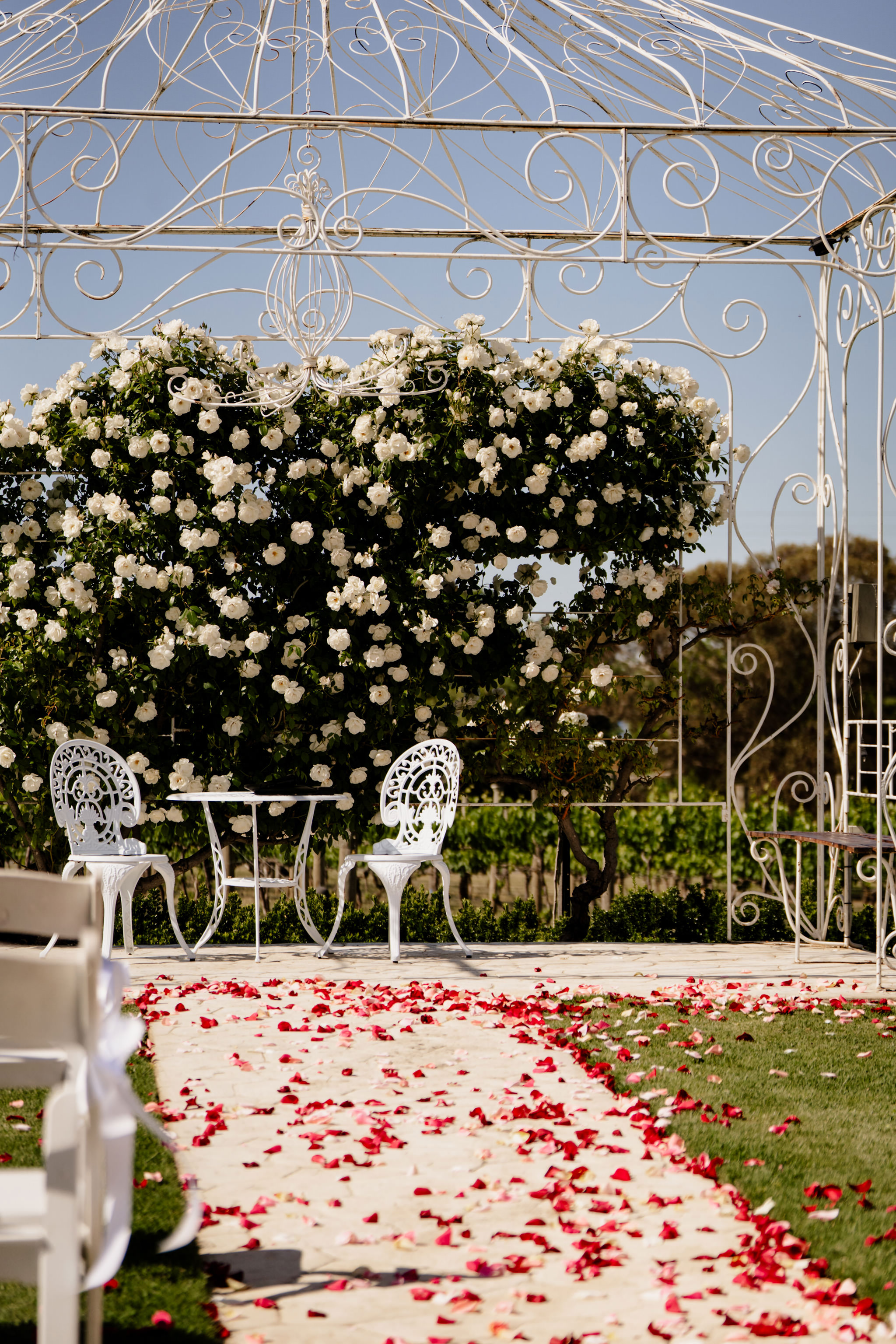 De Bortoli Rutherglen Estate-2520972