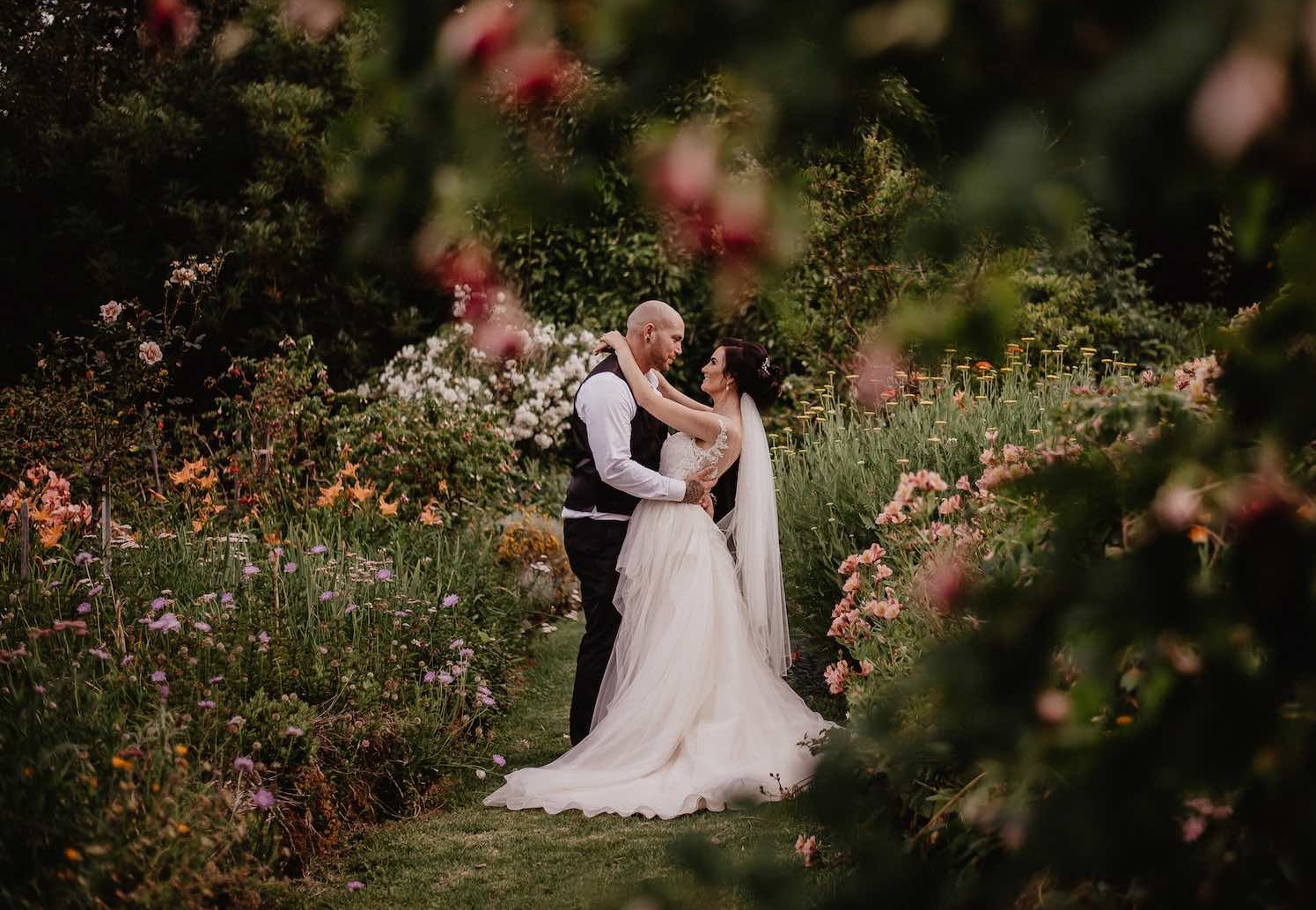 The Berry Delightful-1938250