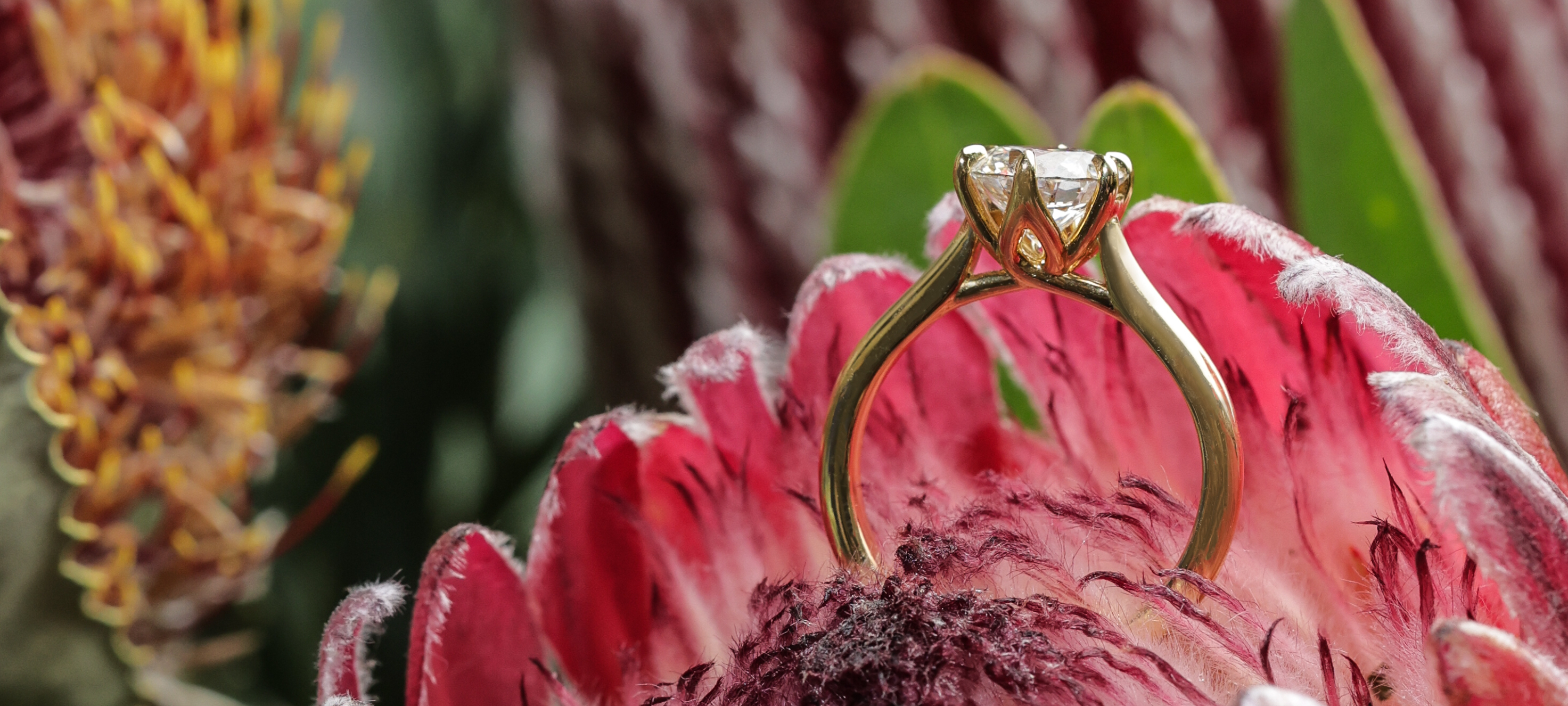 Diamondport Jewellers