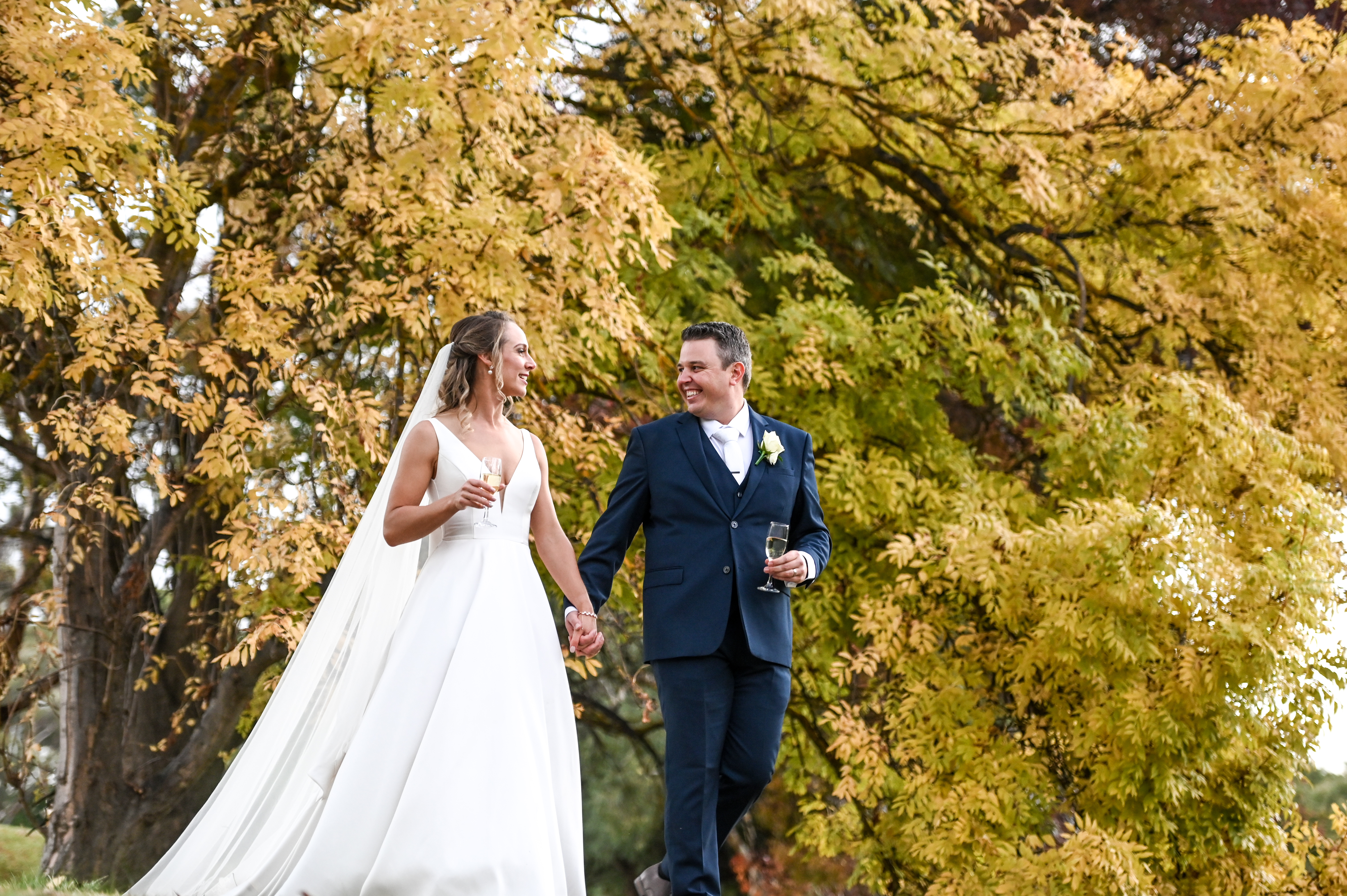 Dimples Restaurant, Tea Tree Gully Golf Club-2304384