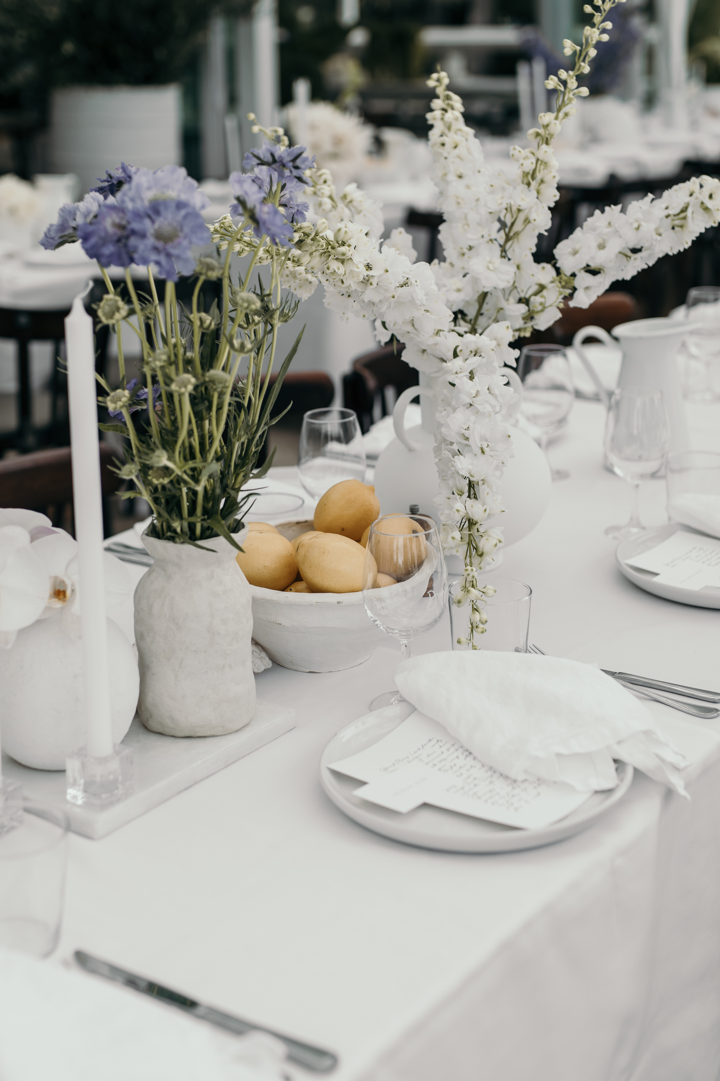 Dunes Palm Beach-2165951