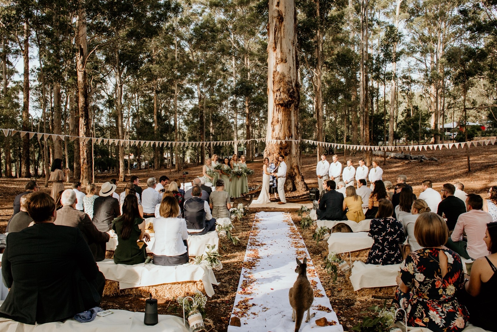 Donnelly River Village-1941199