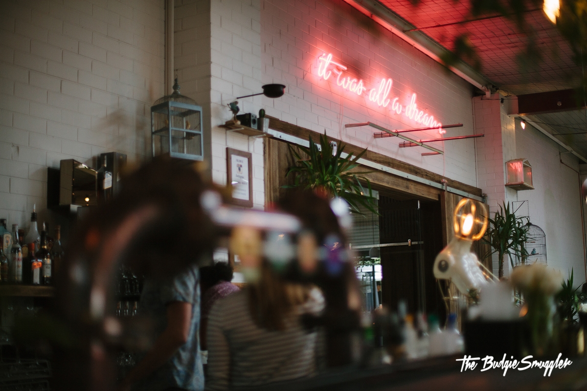 The Budgie Smuggler-1165255