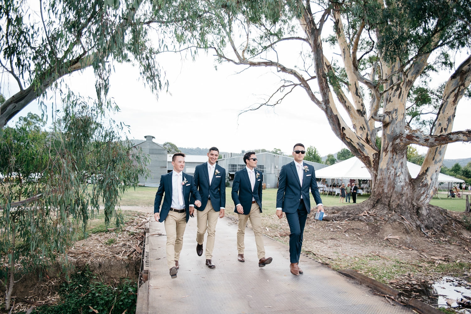 Dal Zotto Wines-1564945