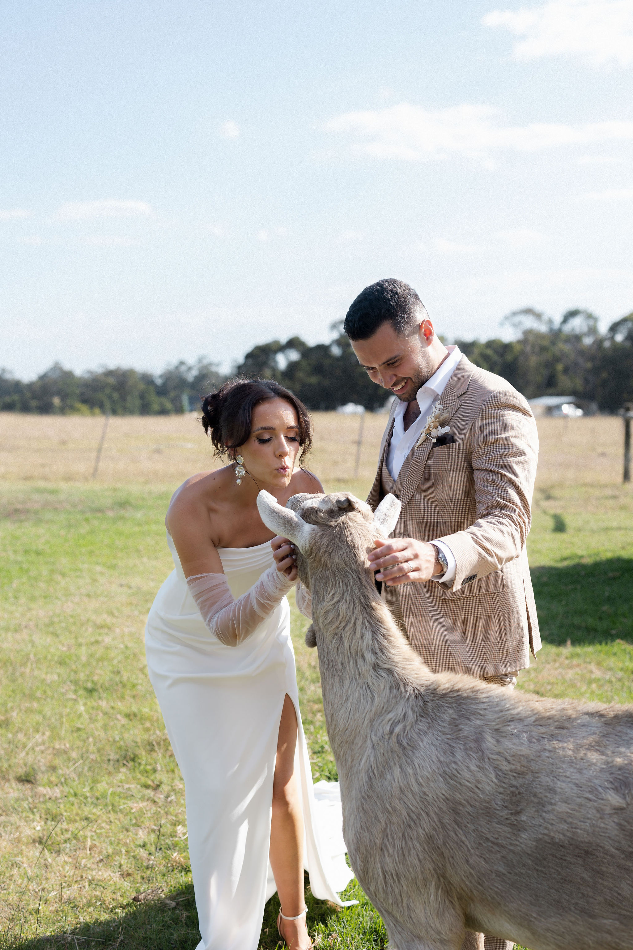 Eight Acres Lakes Entrance-2494547