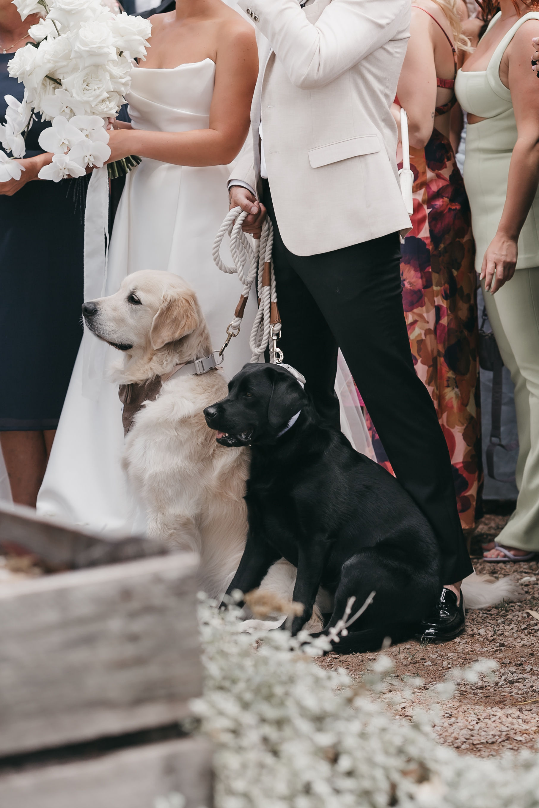 Eight Acres Lakes Entrance-2494543